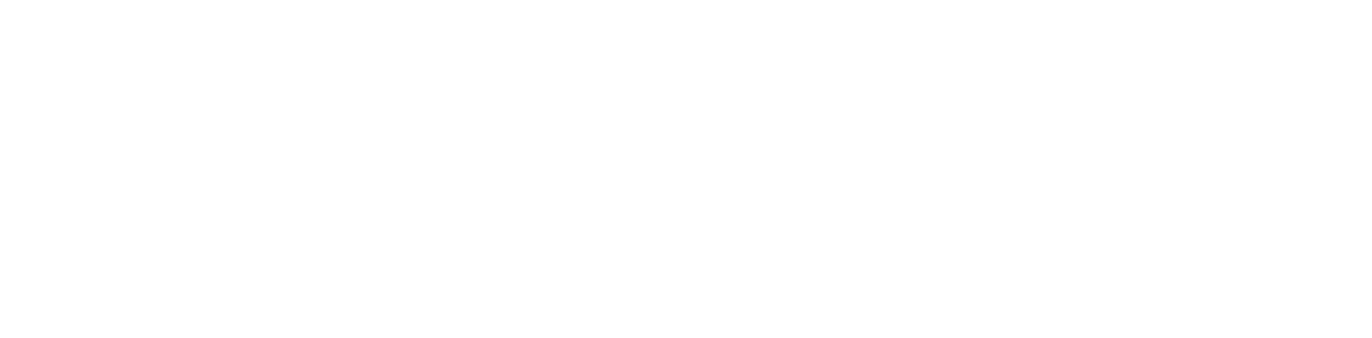 Hardy Smith Consulting logo